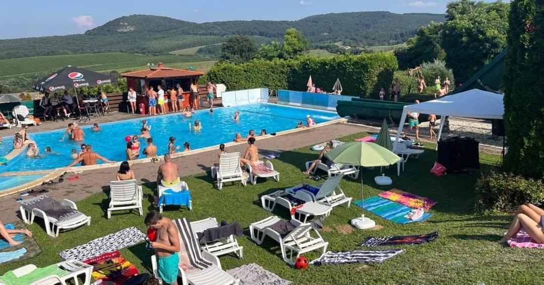 Wellness Park Apartment Dunaszentmiklos